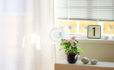 Blinds