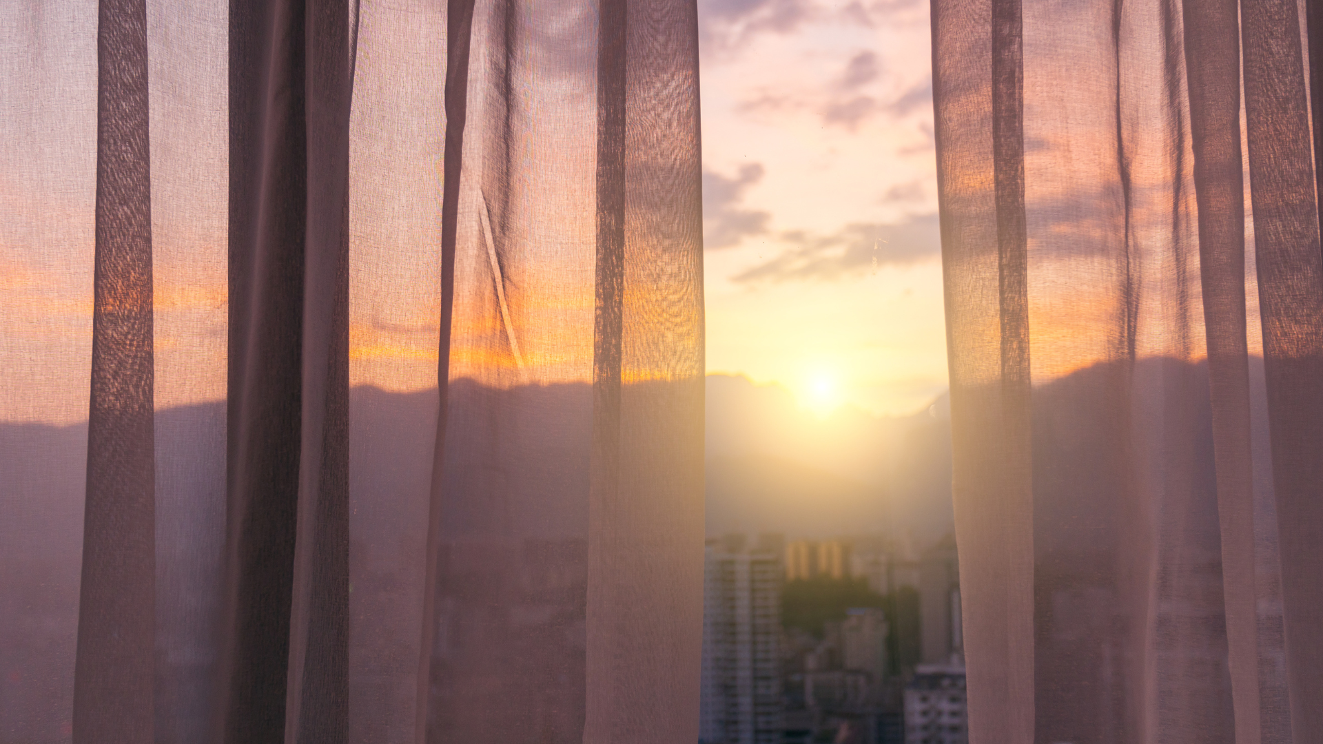 Tipologie di tende da interni: plissettate, a pannello, a rullo e altro